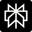 perplexity logo